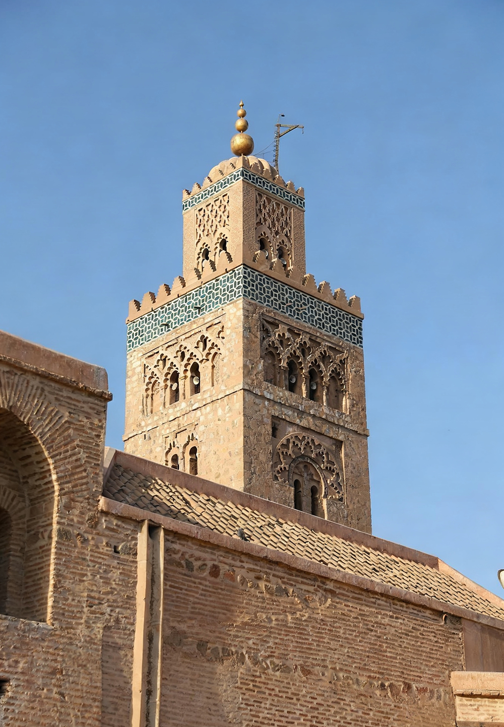 Business team collaboration